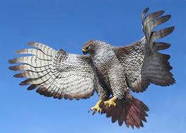 Hawk - Native American Astrology hawk-native-american-zodiac