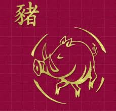 chinese pig