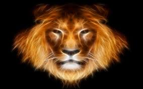 Leo Astrology 2013 leo