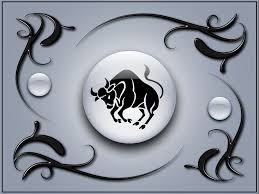 Taurus 2013 Astrology taurus