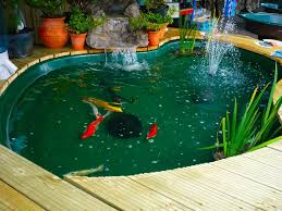 fish pond