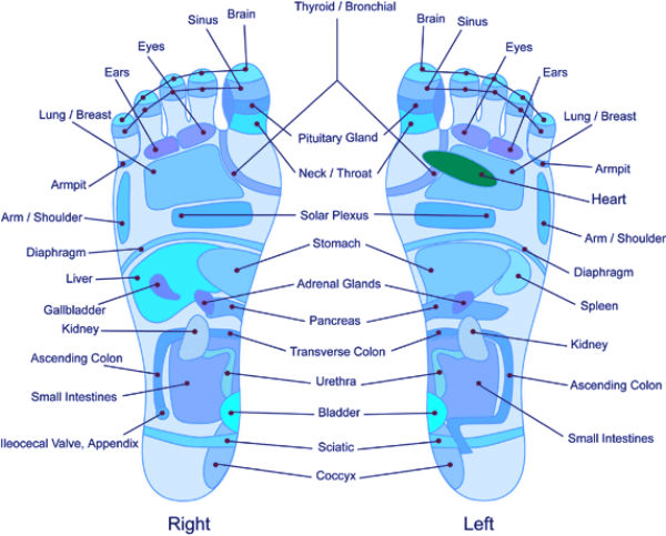 Free Hand And Foot Reflexology Chart